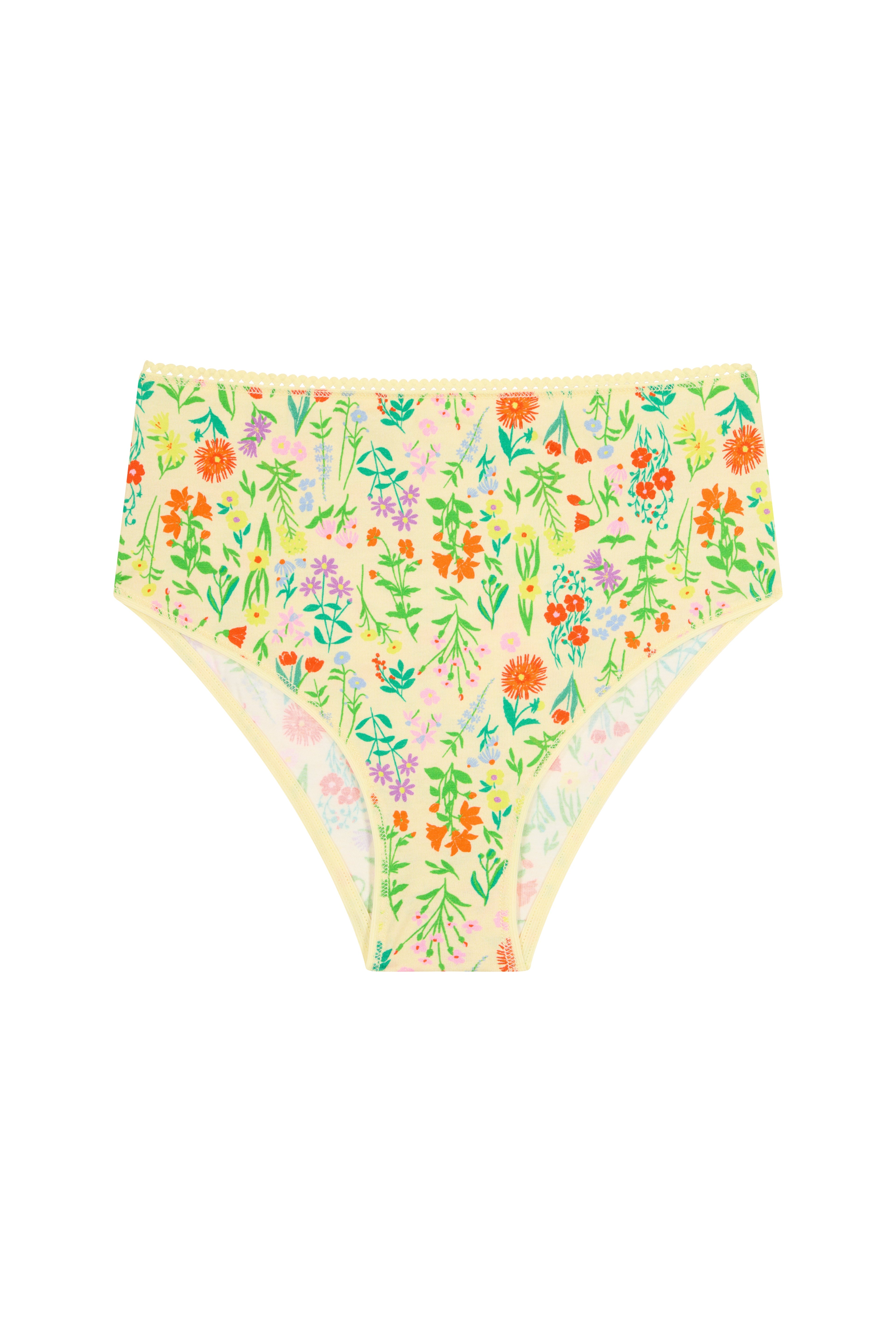 Culotte Taille Haute Coton BIO - Pampa jaune